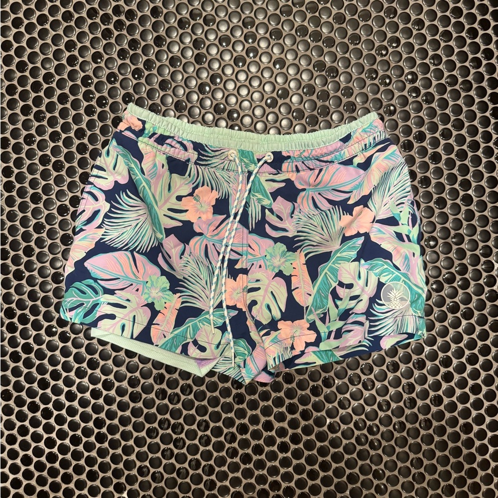 Chubbies Mint and Lavender Swim Shorts